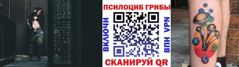 Галлюциногенные грибы Cubensis  Змеиногорск 